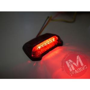 カワサキ（Kawasaki） LEDルーカステールランプ スモークレンズ バイク