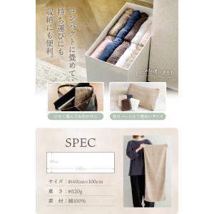 今治タオル ビッグフェイスタオル 1枚 綿10...の詳細画像5