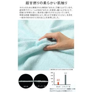 今治タオル ハンドタオル ほたか 5枚セット ...の詳細画像1