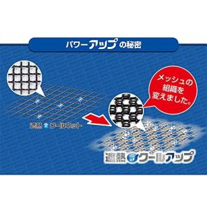 セキスイ 遮熱クールアップ 【2枚セット】10...の詳細画像2