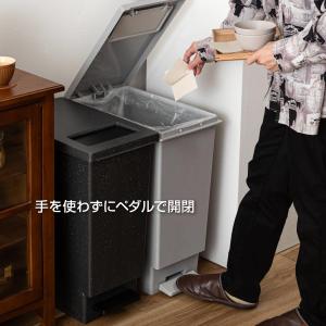 ごみ箱 45リットル 屋外 屋内 おしゃれ 分...の詳細画像2