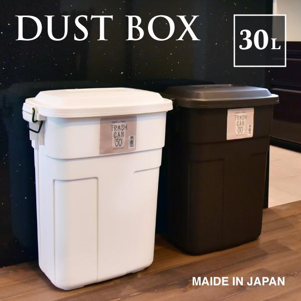 ごみ箱 30リットル 室内 キッチン 分別 おしゃれ スタイリッシュ ダストボックス 日本製
