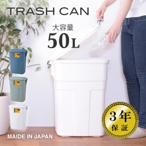 東谷 ゴミ箱 おしゃれ 屋内 屋外 分別 45L 大型 ふた付き アメリカン
