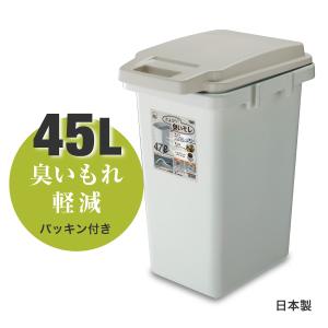 東谷 ゴミ箱 おしゃれ 屋内 屋外 分別 45L 大型 ふた付き アメリカン