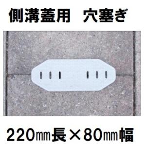 側溝 穴ふさぎ カバー ホールキャップ ポリプロピレン製 蓋用