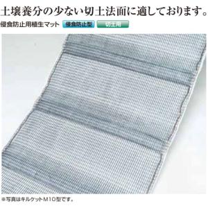 ロンタイ キルケットM10型 亀甲金網付き 1...の詳細画像1