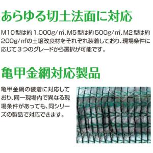 ロンタイ キルケットM10型 亀甲金網付き 1...の詳細画像5