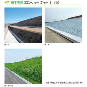 ロンタイ ロンケットネット 0.5m×20m ...の詳細画像5