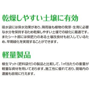 ロンタイ ロンケットスパイダー 1.0m×10...の詳細画像4