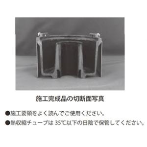 伊藤鉄工 椀トラップ補修キット T5-50RK...の詳細画像1