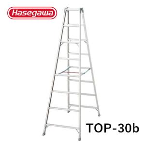 長谷川工業 ハセガワ工業 長尺専用アルミ脚立 TOP-24b 8段8尺