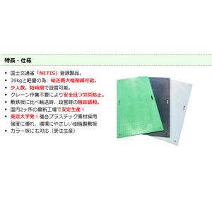 WPT Wボード 1000×2000×20mm...の詳細画像4