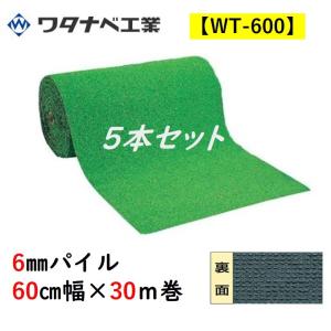 人工芝 WT-600 タフト芝ロールタイプ 6mmパイル 60cm幅×30ｍ巻 5本セット ワタナベ工業 送料無料