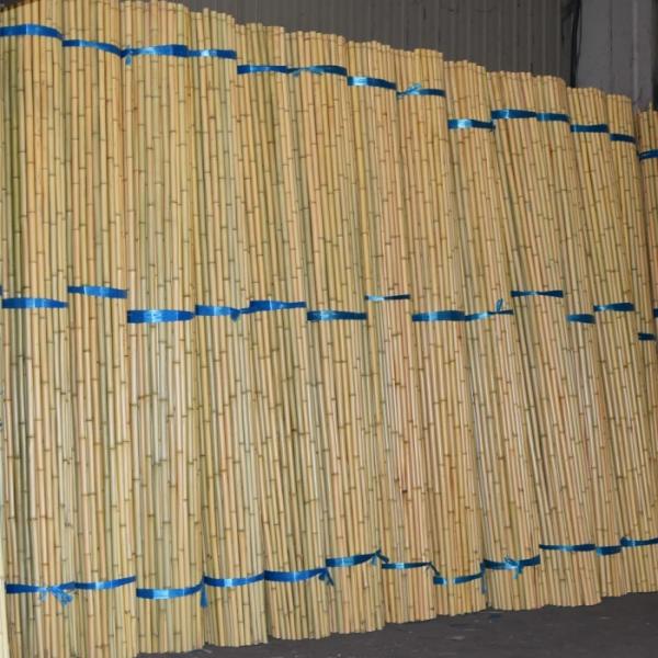 白竹（さらし竹）2メートル 5分 1束（120本入り）