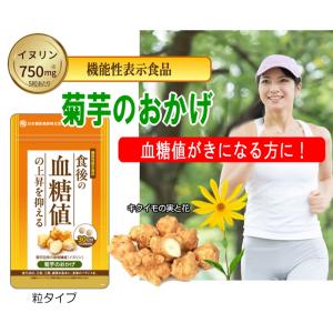 日本糖尿食研】菊芋のおかげ+エラグ酸（粒タイプ）30日分 血糖値 脂肪