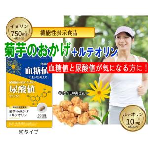 日本糖尿食研】菊芋のおかげ+エラグ酸（粒タイプ）30日分 血糖値 脂肪