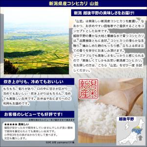 お米 5kg 新潟産コシヒカリ 山並 令和5年...の詳細画像2