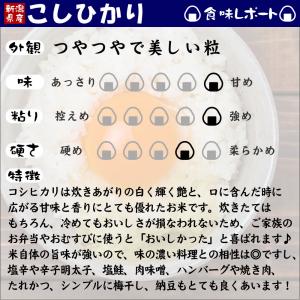 新潟産コシヒカリ 山並 令和7年産 5kg お...の詳細画像5