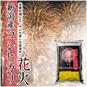 令和7年産 新潟産 コシヒカリ 花火 5kg ...の詳細画像1