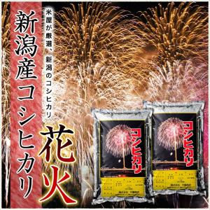令和7年産 新潟産 コシヒカリ 花火 10kg...の詳細画像1