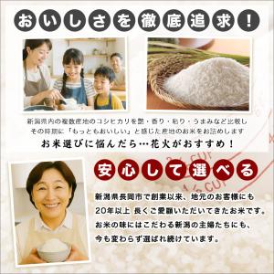 令和7年産 新潟産 コシヒカリ 花火 10kg...の詳細画像3