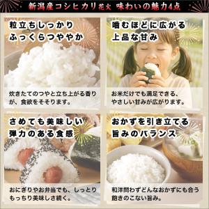 令和7年産 新潟産 コシヒカリ 花火 10kg...の詳細画像4