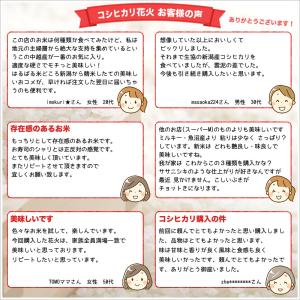 令和7年産 新潟産 コシヒカリ 花火 10kg...の詳細画像5