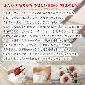 令和7年産 新潟産 ミルキークイーン 10kg...の詳細画像2