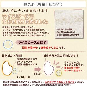 無洗米 南魚沼産コシヒカリ 吟精 4kg 令和...の詳細画像4