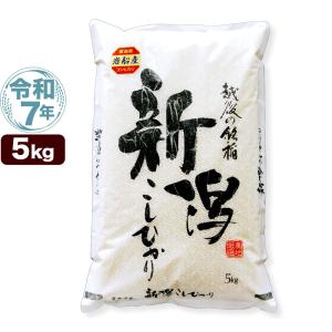 令和7年産 新潟県 岩船産 コシヒカリ 5kg 米 送料無料 （北海道、九州、沖縄除く）
