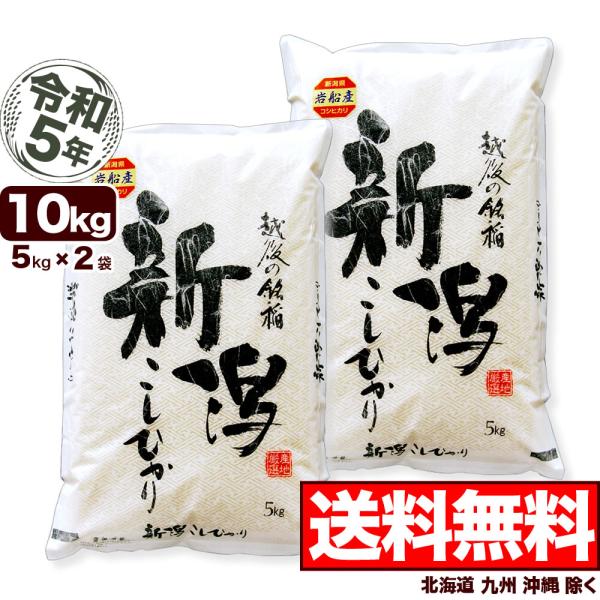米 お米 10kg 岩船産コシヒカリ 5kg×2袋 令和5年産 送料無料 （北海道、九州、沖縄除く）
