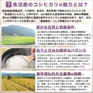 令和7年産 産直 魚沼産 コシヒカリ 5kg ...の詳細画像5