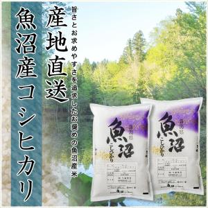 令和7年産 産直 魚沼産 コシヒカリ 10kg...の詳細画像1