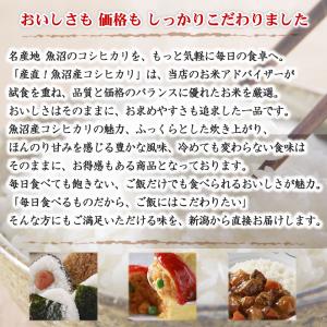 令和7年産 産直 魚沼産 コシヒカリ 10kg...の詳細画像3