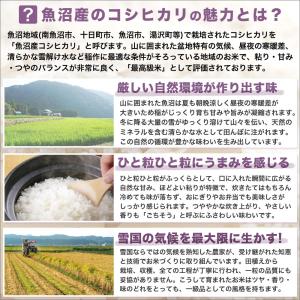 令和7年産 産直 魚沼産 コシヒカリ 10kg...の詳細画像5