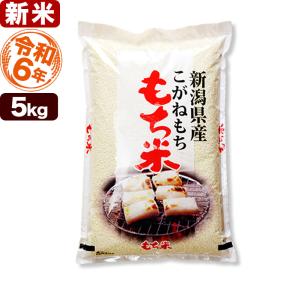 白米 5kg こがねもち米 令和5年産 新潟産 送料無料 （北海道、九州、沖縄除く）｜お米プラザ新潟Yahoo!店