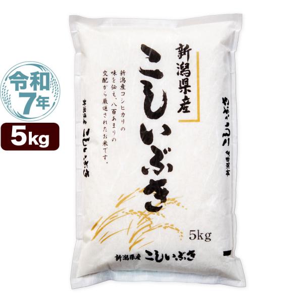 令和7年産 新潟産 こしいぶき 5kg 米