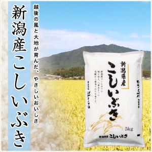 令和7年産 新潟産 こしいぶき 5kg 米 8...の詳細画像3