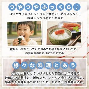 令和7年産 新潟産 こしいぶき 5kg 米 8...の詳細画像5