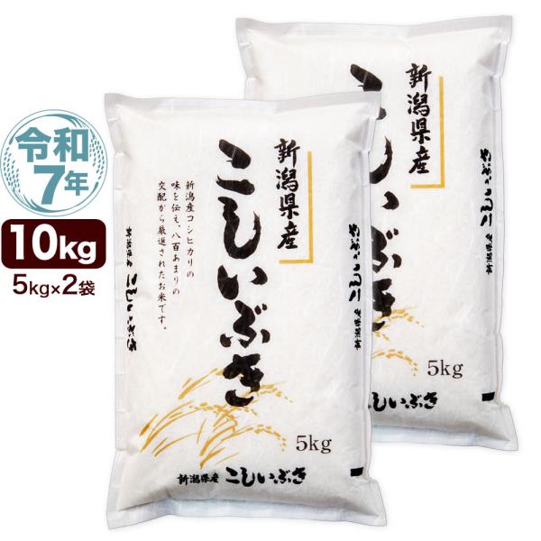 令和7年産 新潟産 こしいぶき 10kg(5kg×2袋) 米