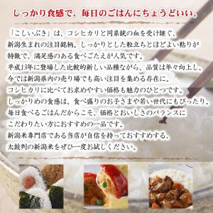 令和7年産 新潟産 こしいぶき 10kg(5k...の詳細画像4