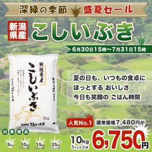 令和7年産 新潟産 こしいぶき 15kg(5k...の詳細画像1