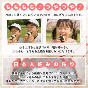 令和7年産 新潟産 ミルキークイーン 10kg...の詳細画像5