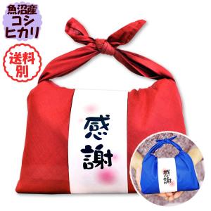 感謝 魚沼産コシヒカリ バンダナ包み（300g×2袋入） 令和5年産 お米送料別｜imagi