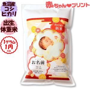 令和5年産 魚沼産コシヒカリ 抱っこできる赤ちゃんプリント