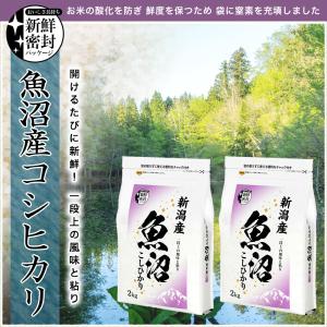 令和7年産 産直 魚沼産 コシヒカリ 4kg(...の詳細画像1