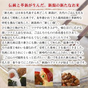 令和7年産 新潟産 新之助 4kg(2kg×2...の詳細画像2