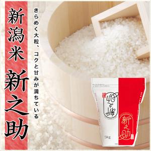 令和7年産 新潟産 新之助 5kg 保存に便利...の詳細画像1