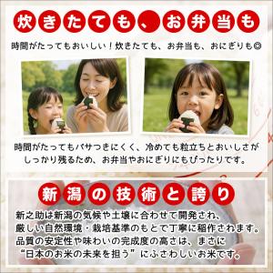 令和7年産 新潟産 新之助 保存に便利なチャッ...の詳細画像3