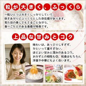 令和7年産 新潟産 新之助 保存に便利なチャッ...の詳細画像4